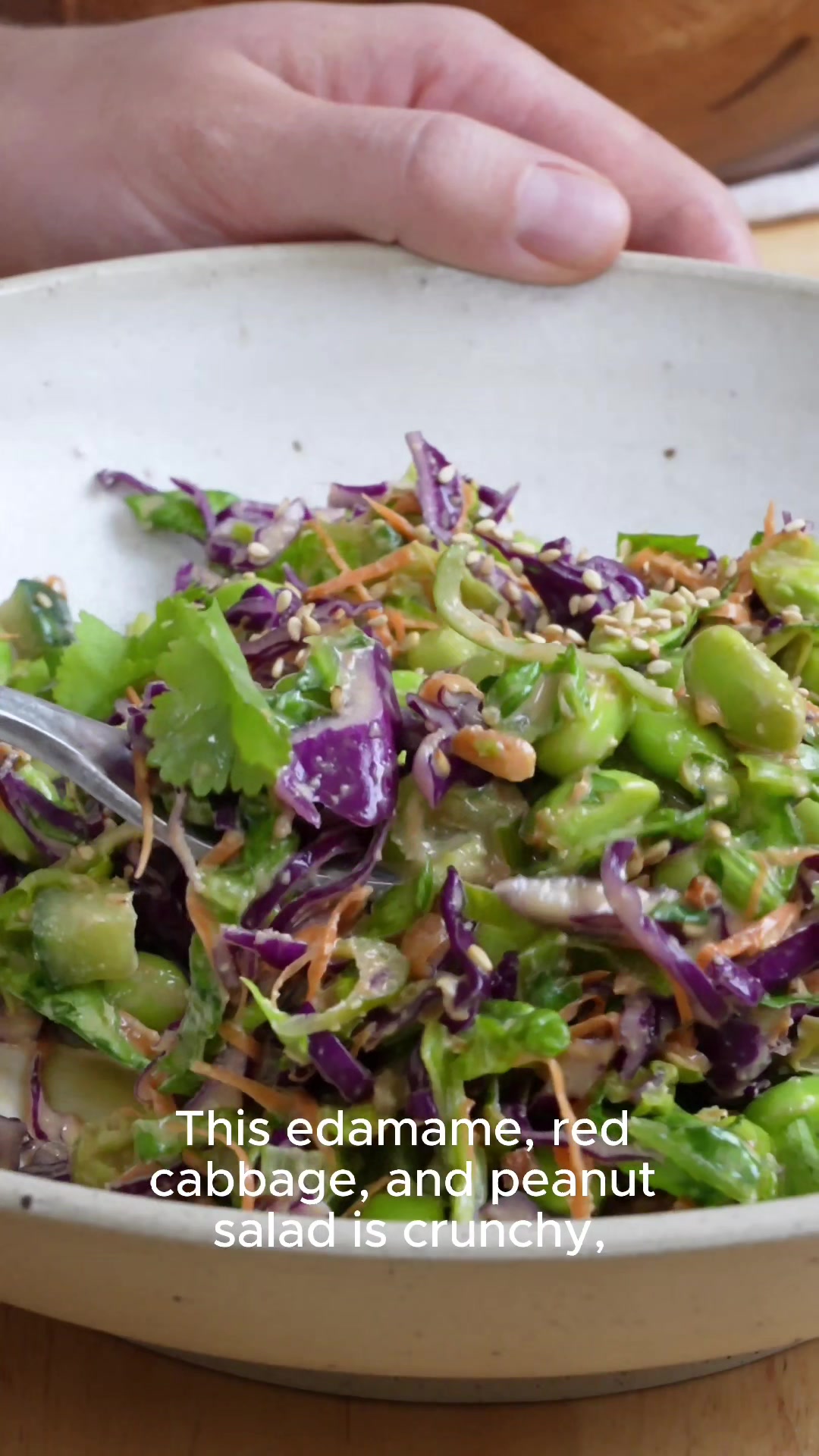 Meal Prep Edamame, Red Cabbage & Peanut Salad