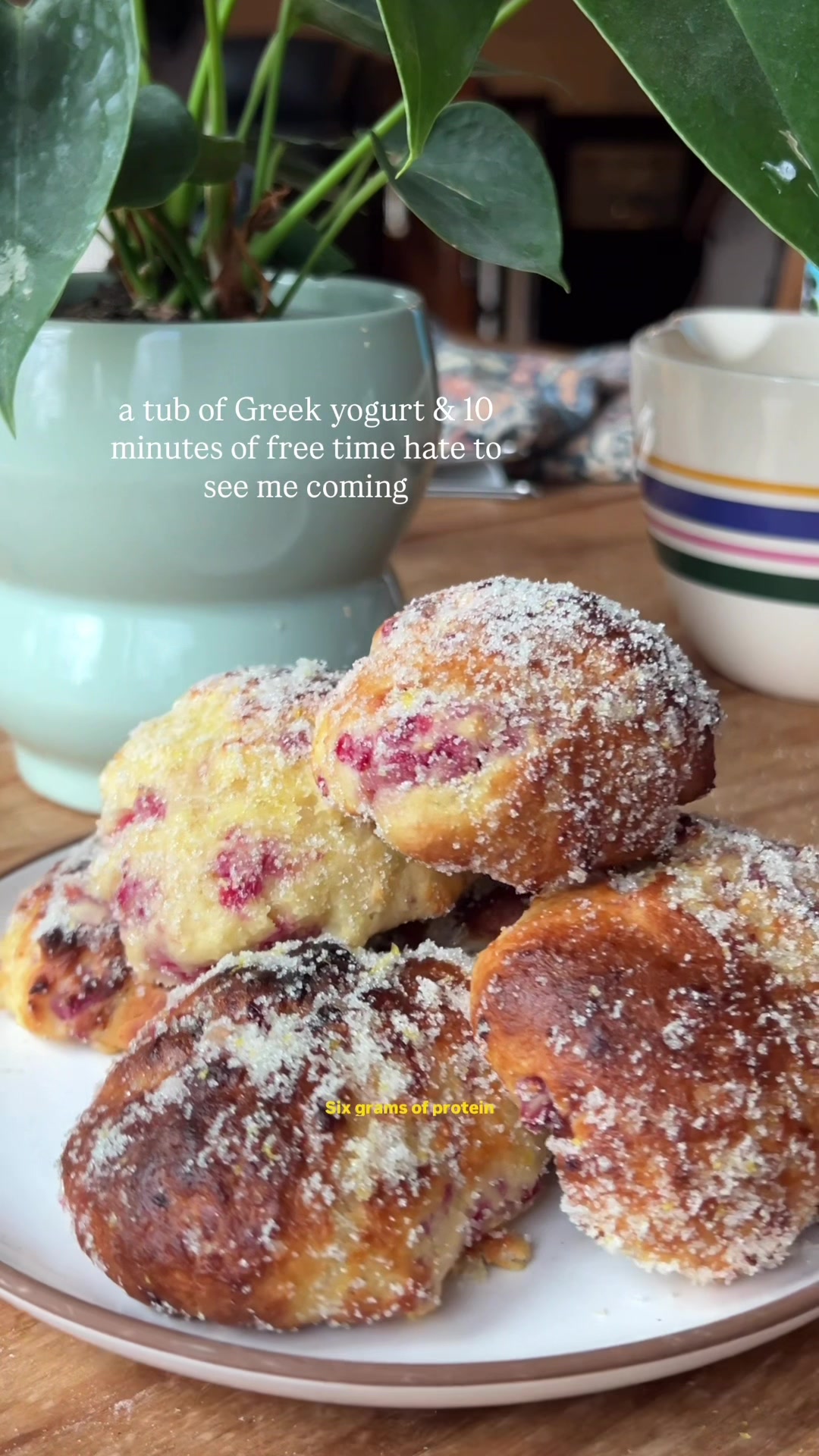 Lemon Raspberry Greek Yogurt Donuts
